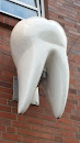 Zahn An Der Wand