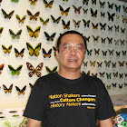 johan.mudas