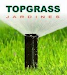 Pasto Alfombra Natural Topgrass