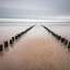by Steven Put - Landscapes Waterscapes ( water, log exposure, waterscape, breakwater, sea, beach, landscape )