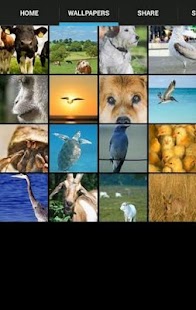 How to get Animal Wallpapers 1.4 unlimited apk for android