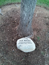 Bob Warden Memorial Stone 