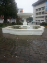Pileta De La Plaza 