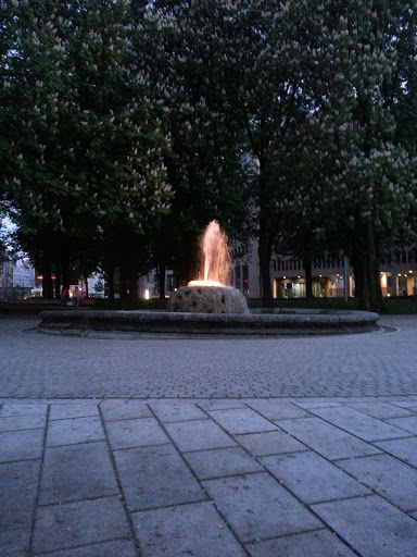 Steinpilzbrunnen