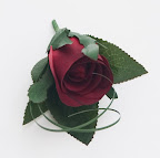 CRW_5367.jpg
