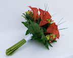 IMG_6146.jpg