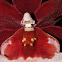 Orchid