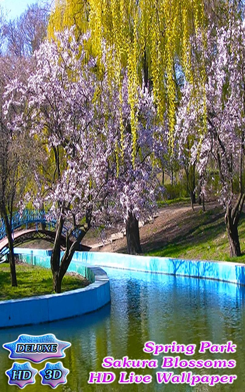 Android application Spring Park Sakura Blossoms HD screenshort