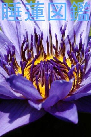 Water lily Picture Book
