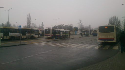 Pętla autobusowa Błonie 