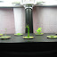 Ceae's Indoor garden