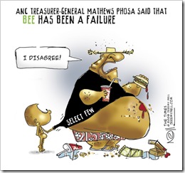 MathewsPhosaCartoonBEE_FAILURE_SUNTIMES