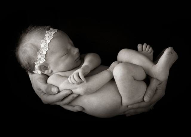 [_MG_0207_nojeansrt_LR[13].jpg]