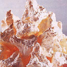 Parisian Passover Coconut Macaroons
