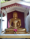 Buddha Statue near Siddalepa Medicinal House