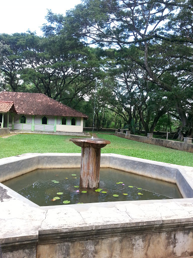Fountain in Maduwanwela Walawwa