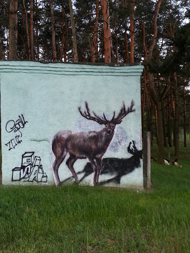 Graffity 