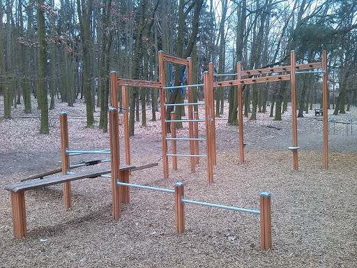 Wooden Fitness