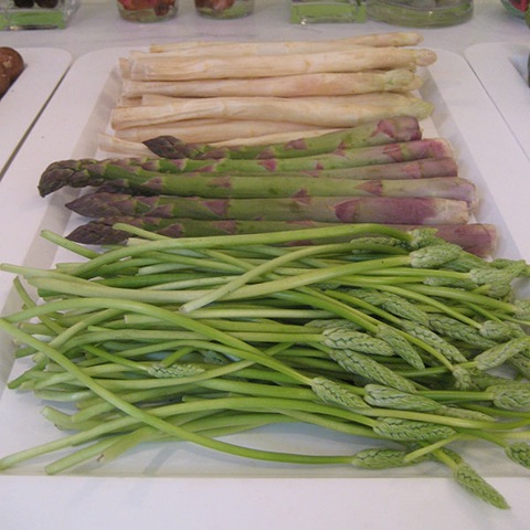 [Asparagus4.jpg]