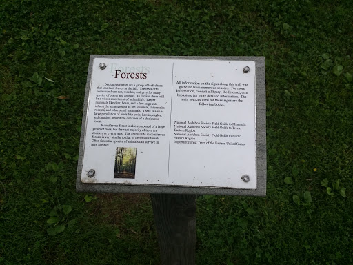 Forest Information 