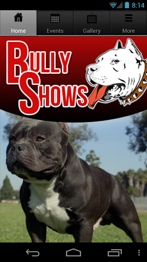 Bully Shows