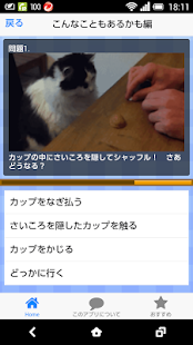 How to install 萌えかわいい猫動画クイズ、おもしろ動画の次の瞬間を当てよう！ 1.0.0 mod apk for bluestacks