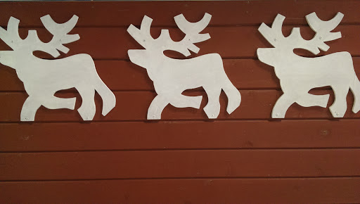 Reindeer on a Wall