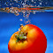 _MNG2433-edit1.jpg