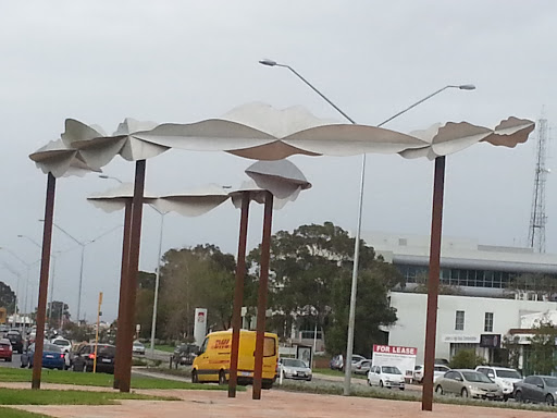 Clouds on Poles Rivervale