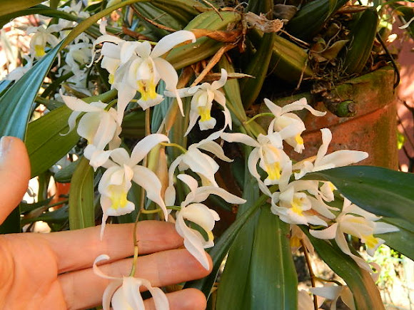 Spotting Image 1