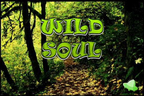 Wild Soul