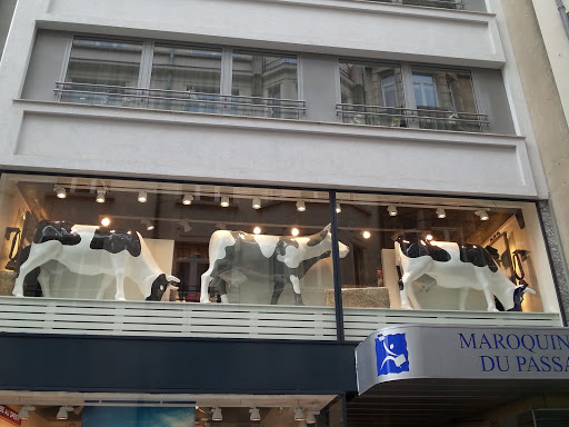 Cows in the Windows