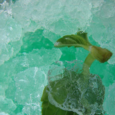 Basil and Lime Granita