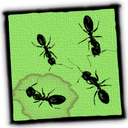 Ants Live Wallpaper mobile app icon