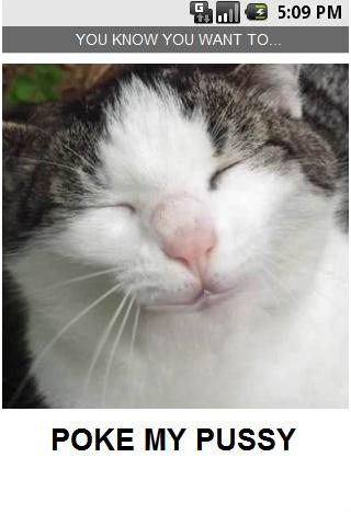 Poke My Pussy