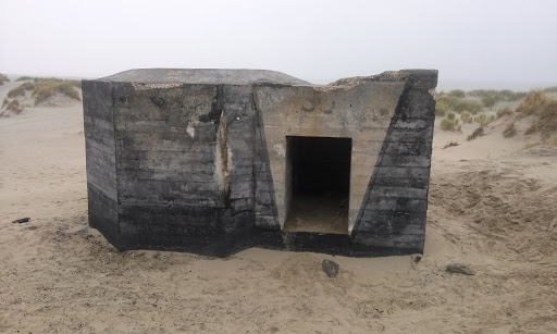 Bunker in de Duinen