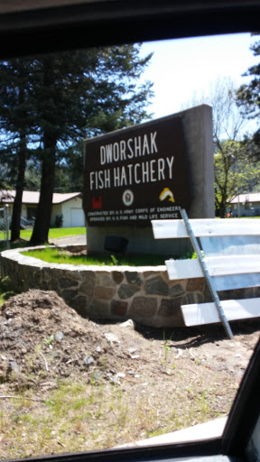 Dworshak Fish Hatchery