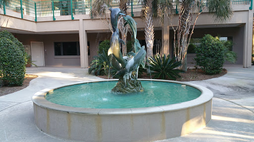 Dolphin water fountain