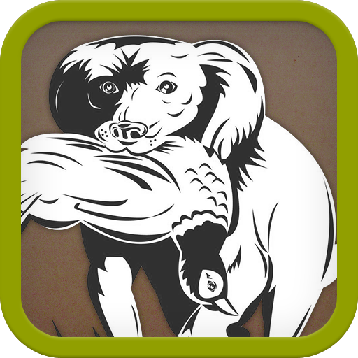 Gundog 運動 App LOGO-APP開箱王