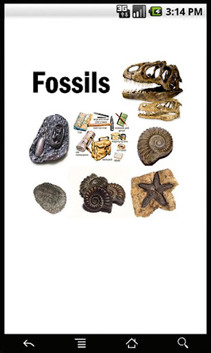 Fossils