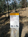 Ridgeway Park Tolmans Hill Fire Trail Track