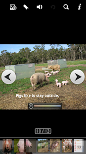 How to get Pig Picture Book for Kids patch 1.0 apk for laptop