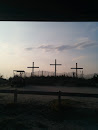 Trinity Crosses