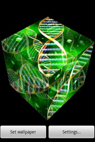 神奇的三維 DNA的