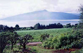 10 Hectareas Hermosicima Vista Al Lago De Patzcua