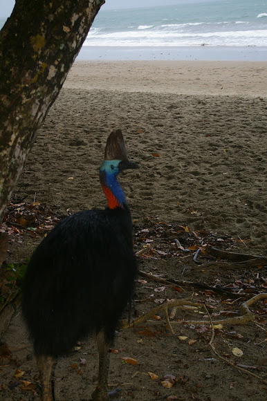Spotting Image 1