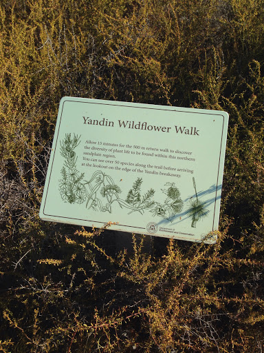Yadin Wildflower Walk 