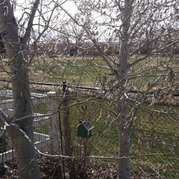Spotting Image 1