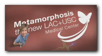 usc hospital emergency room usc hospital emergency room