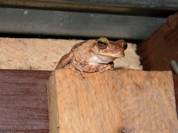 Spotting Image 1